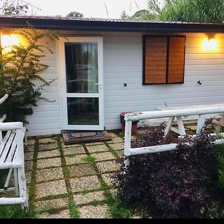 Oasi Di Francesca B&B Pontinia ภายนอก รูปภาพ