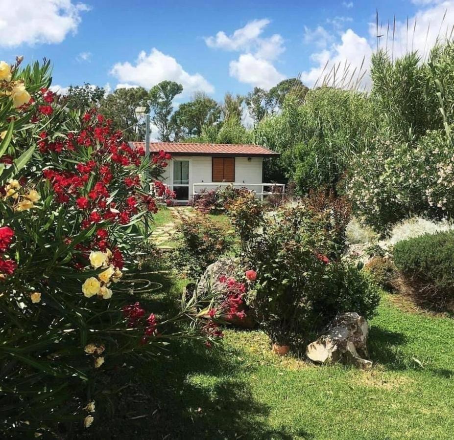 Oasi Di Francesca B&B Pontinia ภายนอก รูปภาพ