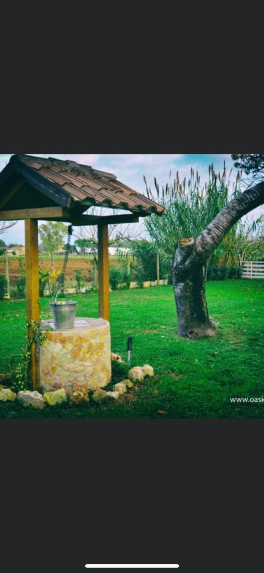 Oasi Di Francesca B&B Pontinia ภายนอก รูปภาพ
