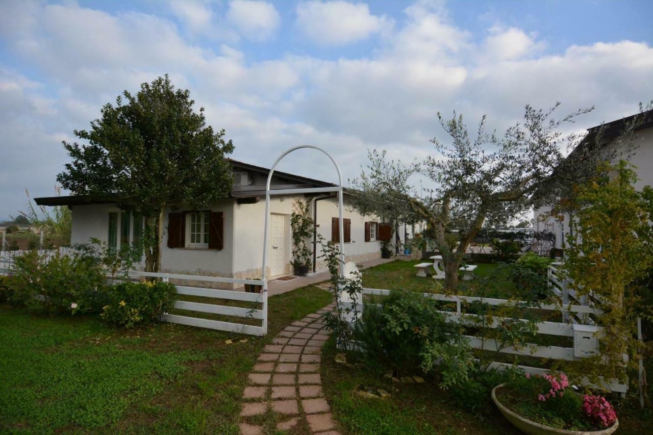 Oasi Di Francesca B&B Pontinia ภายนอก รูปภาพ